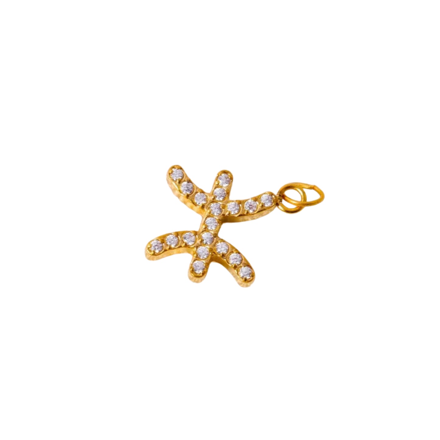 Charms ZODIAC SIGN