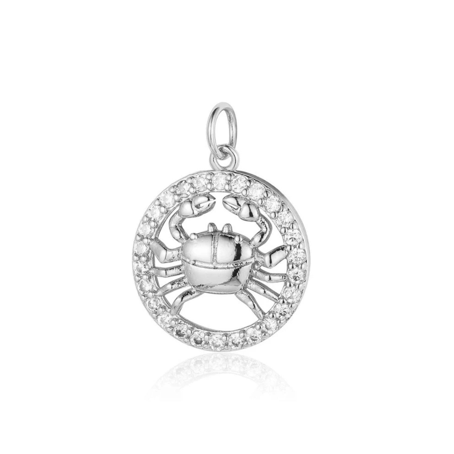 Charms ZODIAC silver