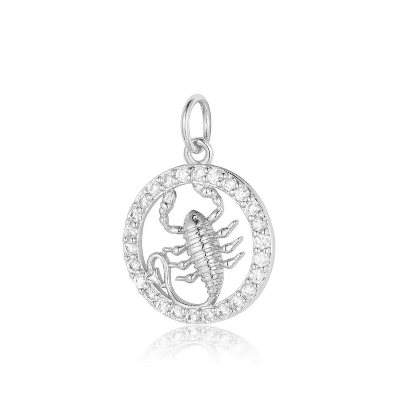 Charms ZODIAC silver