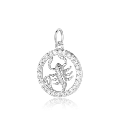 Charms ZODIAC silver