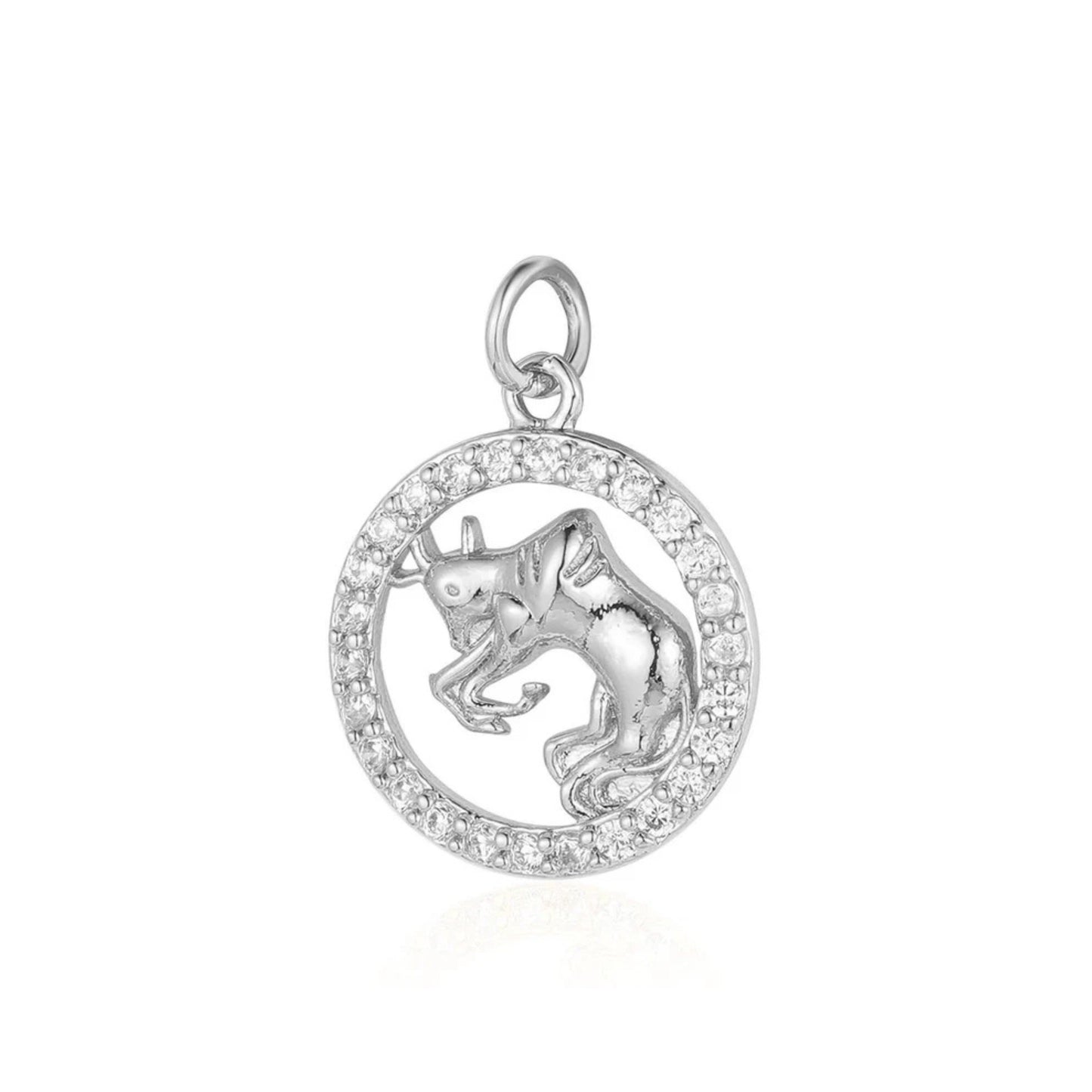 Charms ZODIAC silver