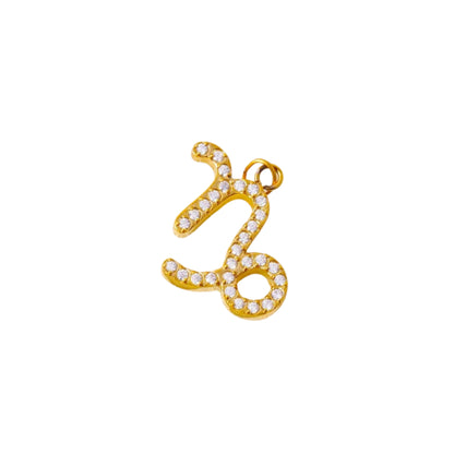 Charms ZODIAC SIGN