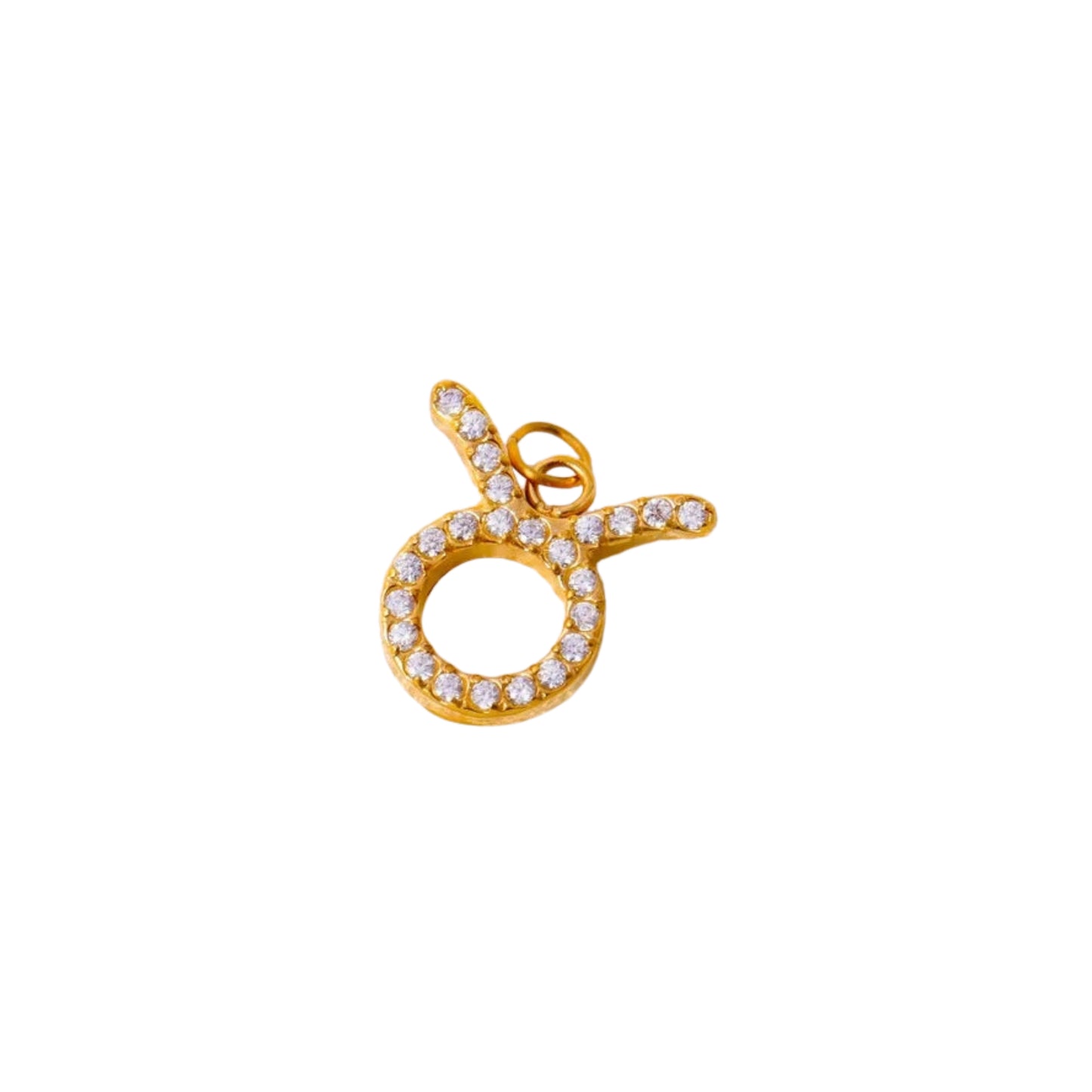 Charms ZODIAC SIGN