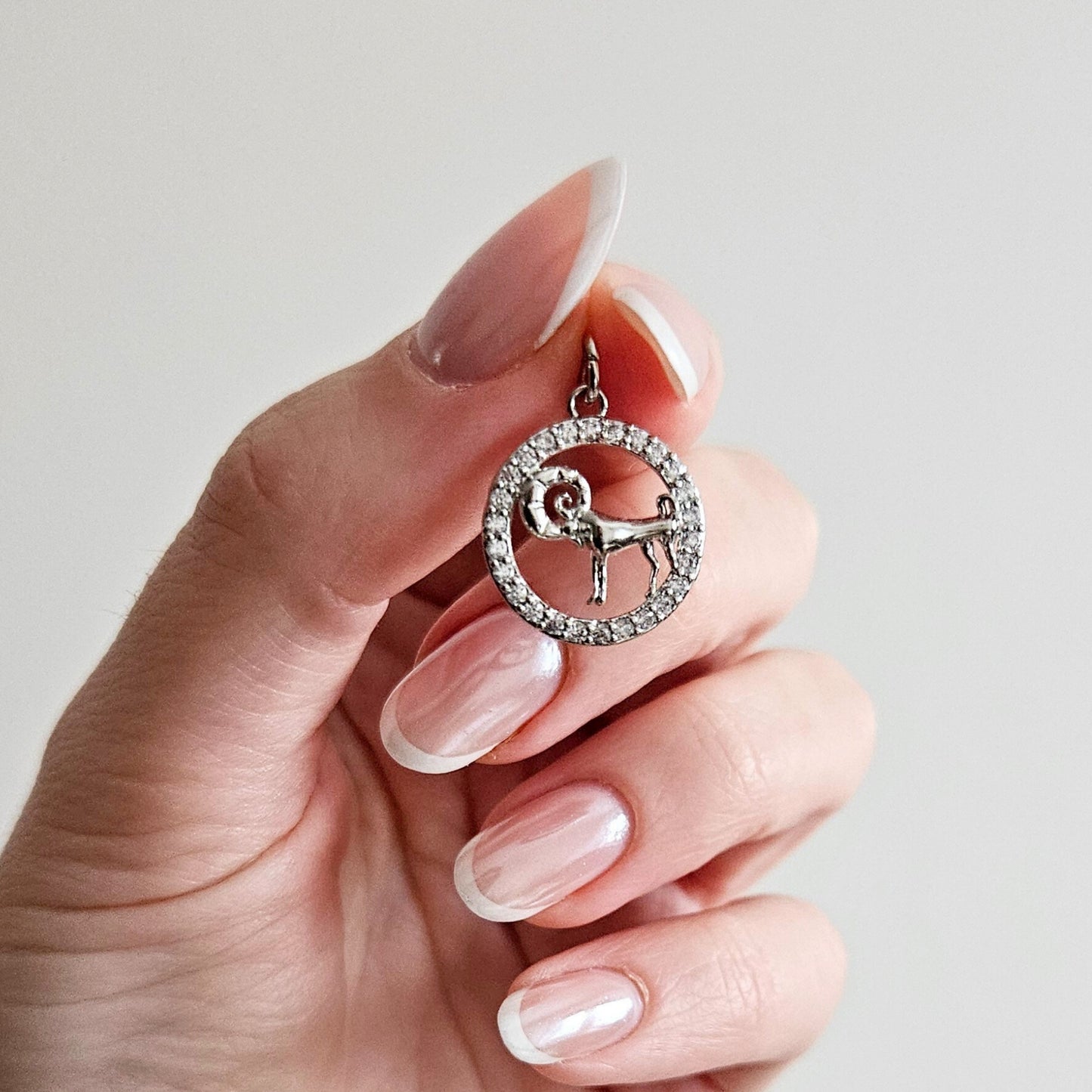 Charms ZODIAC silver